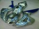 Cheap 2006-2007 Blue Flame Silver Honda CBR1000RR Motorcycle Fairing Kits